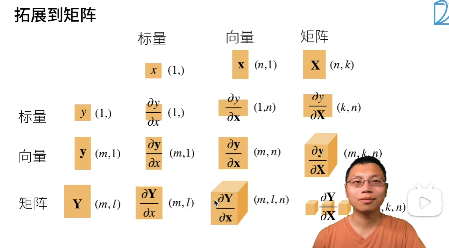 标量、向量、矩阵求导的关系