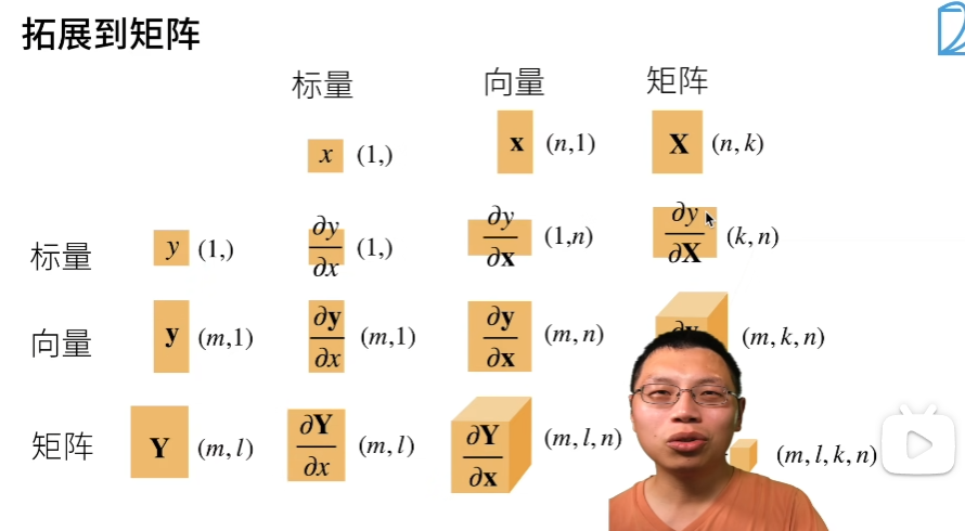 标量、向量、矩阵求导的关系